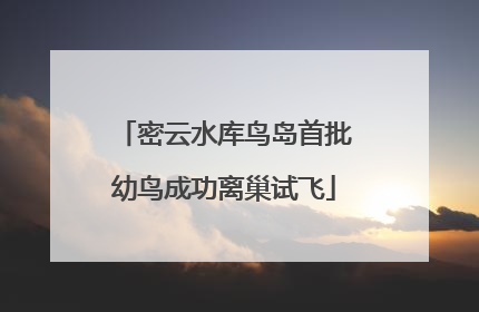 密云水库鸟岛首批幼鸟成功离巢试飞