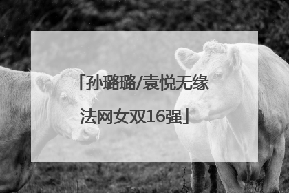 孙璐璐/袁悦无缘法网女双16强