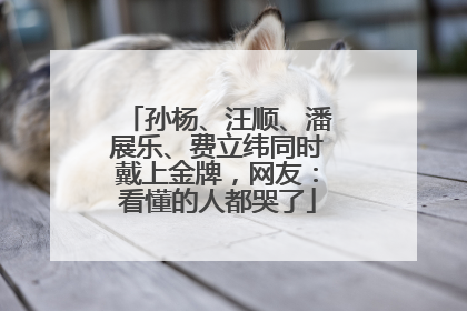 孙杨、汪顺、潘展乐、费立纬同时戴上金牌，网友：看懂的人都哭了