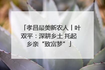 孝昌最美新农人丨叶双平：深耕乡土 托起乡亲“致富梦”
