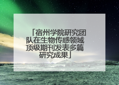 宿州学院研究团队在生物传感领域顶级期刊发表多篇研究成果