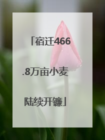 宿迁466.8万亩小麦陆续开镰