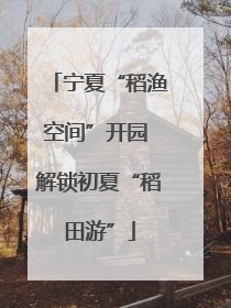 宁夏“稻渔空间”开园 解锁初夏“稻田游”