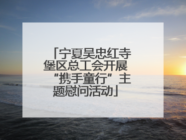 宁夏吴忠红寺堡区总工会开展“携手童行”主题慰问活动