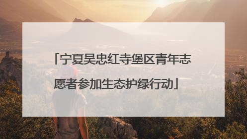 宁夏吴忠红寺堡区青年志愿者参加生态护绿行动