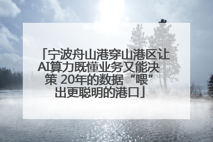 宁波舟山港穿山港区让AI算力既懂业务又能决策 20年的数据“喂”出更聪明的港口