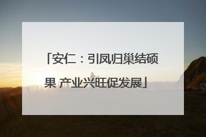 安仁：引凤归巢结硕果 产业兴旺促发展