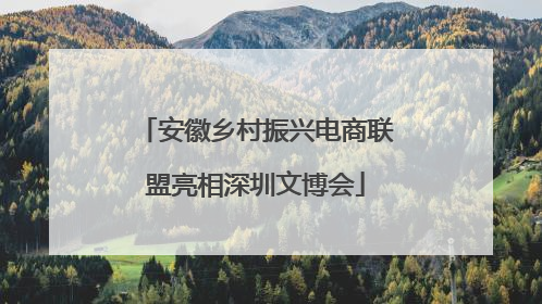 安徽乡村振兴电商联盟亮相深圳文博会