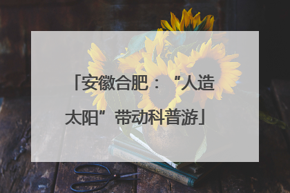 安徽合肥：“人造太阳”带动科普游