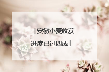 安徽小麦收获进度已过四成
