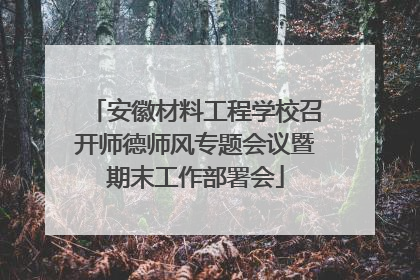 安徽材料工程学校召开师德师风专题会议暨期末工作部署会