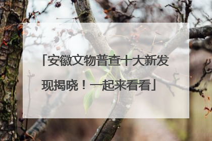 安徽文物普查十大新发现揭晓！一起来看看