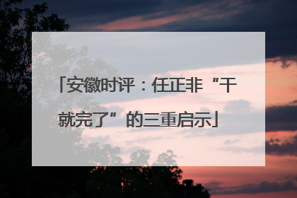 安徽时评：任正非“干就完了”的三重启示