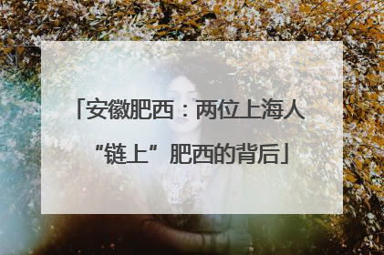 安徽肥西：两位上海人“链上”肥西的背后