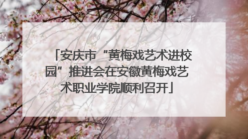 安庆市“黄梅戏艺术进校园”推进会在安徽黄梅戏艺术职业学院顺利召开