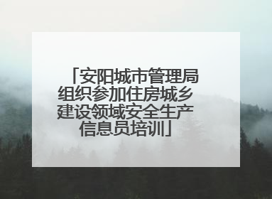 安阳城市管理局组织参加住房城乡建设领域安全生产信息员培训