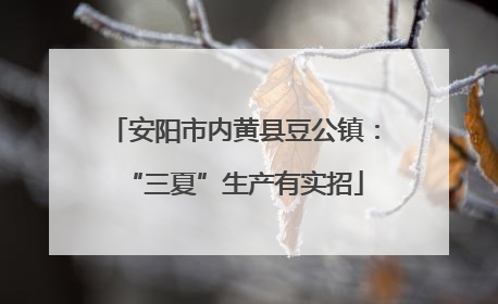 安阳市内黄县豆公镇：“三夏”生产有实招