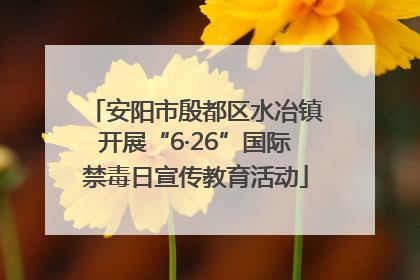 安阳市殷都区水冶镇开展“6·26”国际禁毒日宣传教育活动