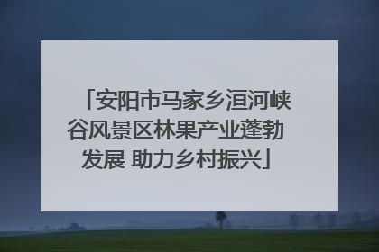 安阳市马家乡洹河峡谷风景区林果产业蓬勃发展 助力乡村振兴