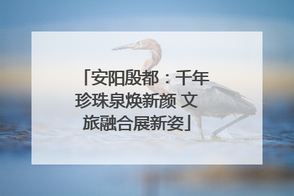 安阳殷都：千年珍珠泉焕新颜 文旅融合展新姿