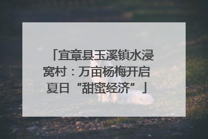 宜章县玉溪镇水浸窝村：万亩杨梅开启夏日“甜蜜经济”