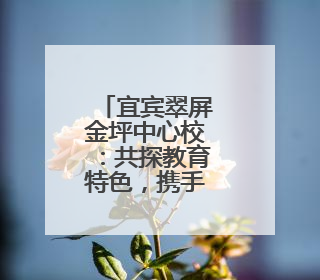 宜宾翠屏金坪中心校：共探教育特色，携手共促发展