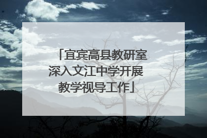 宜宾高县教研室深入文江中学开展教学视导工作