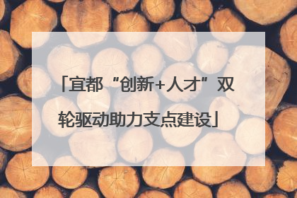 宜都“创新+人才”双轮驱动助力支点建设