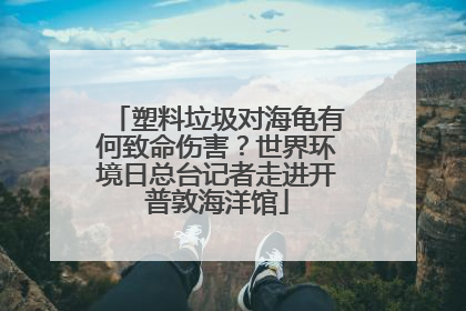 塑料垃圾对海龟有何致命伤害？世界环境日总台记者走进开普敦海洋馆