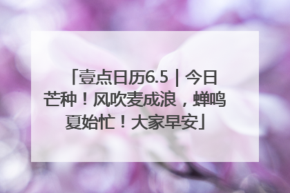 壹点日历6.5｜今日芒种！风吹麦成浪，蝉鸣夏始忙！大家早安
