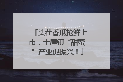 头茬香瓜抢鲜上市，十屋镇“甜蜜”产业促振兴！