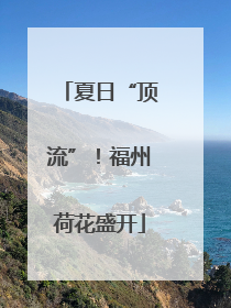 夏日“顶流”！福州荷花盛开