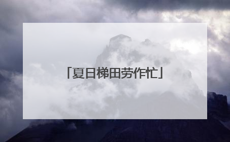 夏日梯田劳作忙