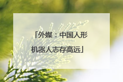 外媒：中国人形机器人志存高远