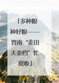 多种粮 种好粮——晋南“麦田夫妻档”忙夏收