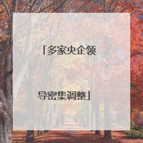 多家央企领导密集调整