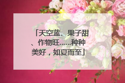 天空蓝、果子甜、作物旺……种种美好，如夏而至