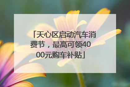 天心区启动汽车消费节，最高可领4000元购车补贴