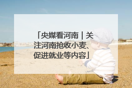 央媒看河南｜关注河南抢收小麦、促进就业等内容