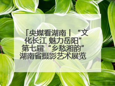 央媒看湖南丨“文化长江 魅力岳阳”第七届“乡愁湘韵”湖南省摄影艺术展览盛大启幕