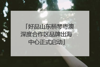 好品山东横琴粤澳深度合作区品牌出海中心正式启动