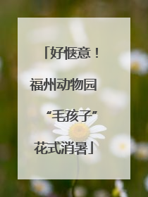 好惬意！福州动物园“毛孩子”花式消暑