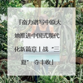 奋力谱写中原大地推进中国式现代化新篇章丨战“三夏” 夺丰收