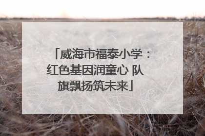 威海市福泰小学：红色基因润童心 队旗飘扬筑未来