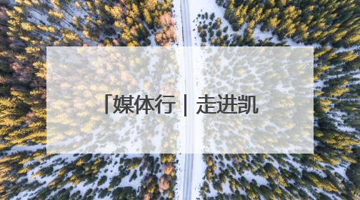 媒体行｜走进凯盛浩丰“番茄硅谷”：看数字神经下的精准农业