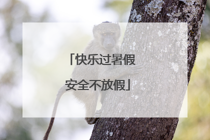快乐过暑假 安全不放假