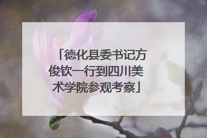 德化县委书记方俊钦一行到四川美术学院参观考察