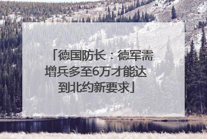 德国防长：德军需增兵多至6万才能达到北约新要求