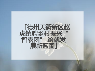 德州天衢新区赵虎镇聘乡村振兴“智囊团” 绘就发展新蓝图