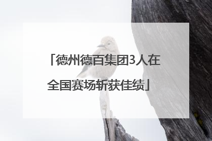 德州德百集团3人在全国赛场斩获佳绩